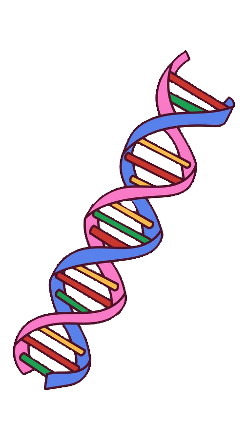 DNA